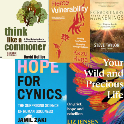 The covers of five books I've read recently.