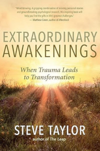 Extraordinary Awakenings cover. Showing low sunshine over a field.